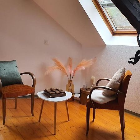 Loft Gaia Apartment Brunstatt-Didenheim Екстериор снимка