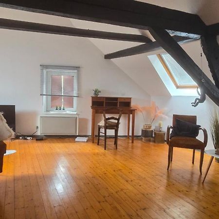 Loft Gaia Apartment Brunstatt-Didenheim Екстериор снимка