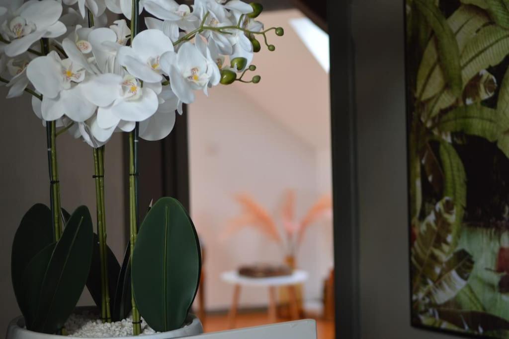 Loft Gaia Apartment Brunstatt-Didenheim Екстериор снимка